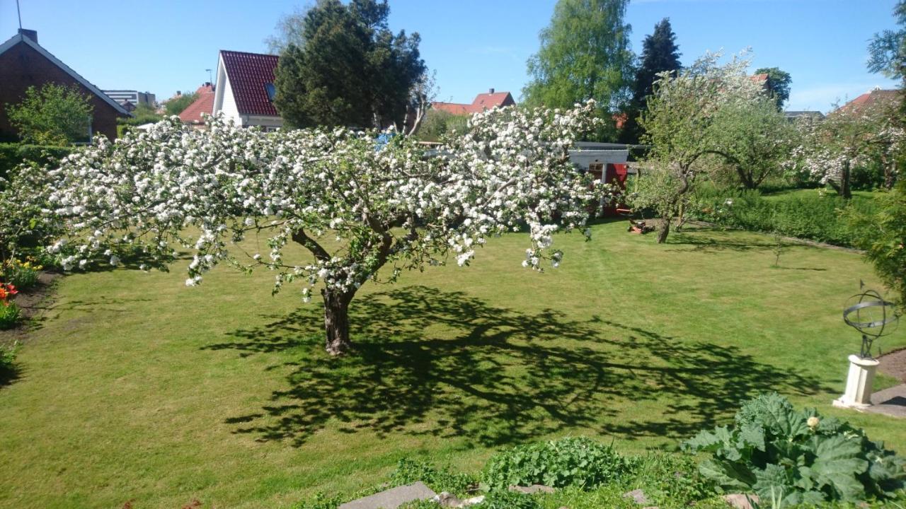 Bymarkens B&B Roskilde Exterior foto